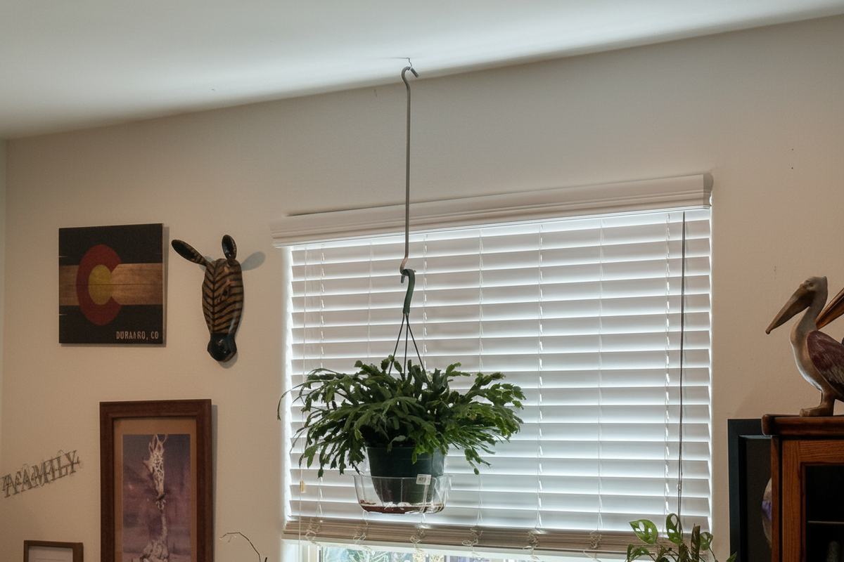 Enhanced QH-24 Quick Hook hanging-plant photo